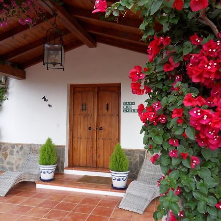 Bed & Breakfast | Guest House Casa Don Carlos 알하우린엘그란데 외부 사진
