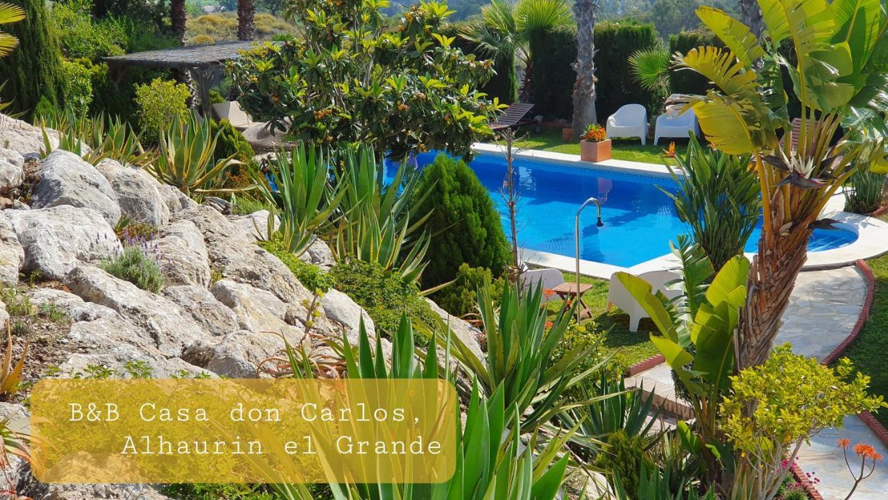 Bed & Breakfast | Guest House Casa Don Carlos 알하우린엘그란데 외부 사진